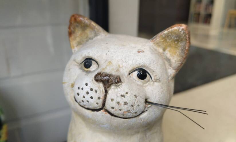 Valkoinen kissapatsas, mustat viikset vain yhdellä puolella naamaa
